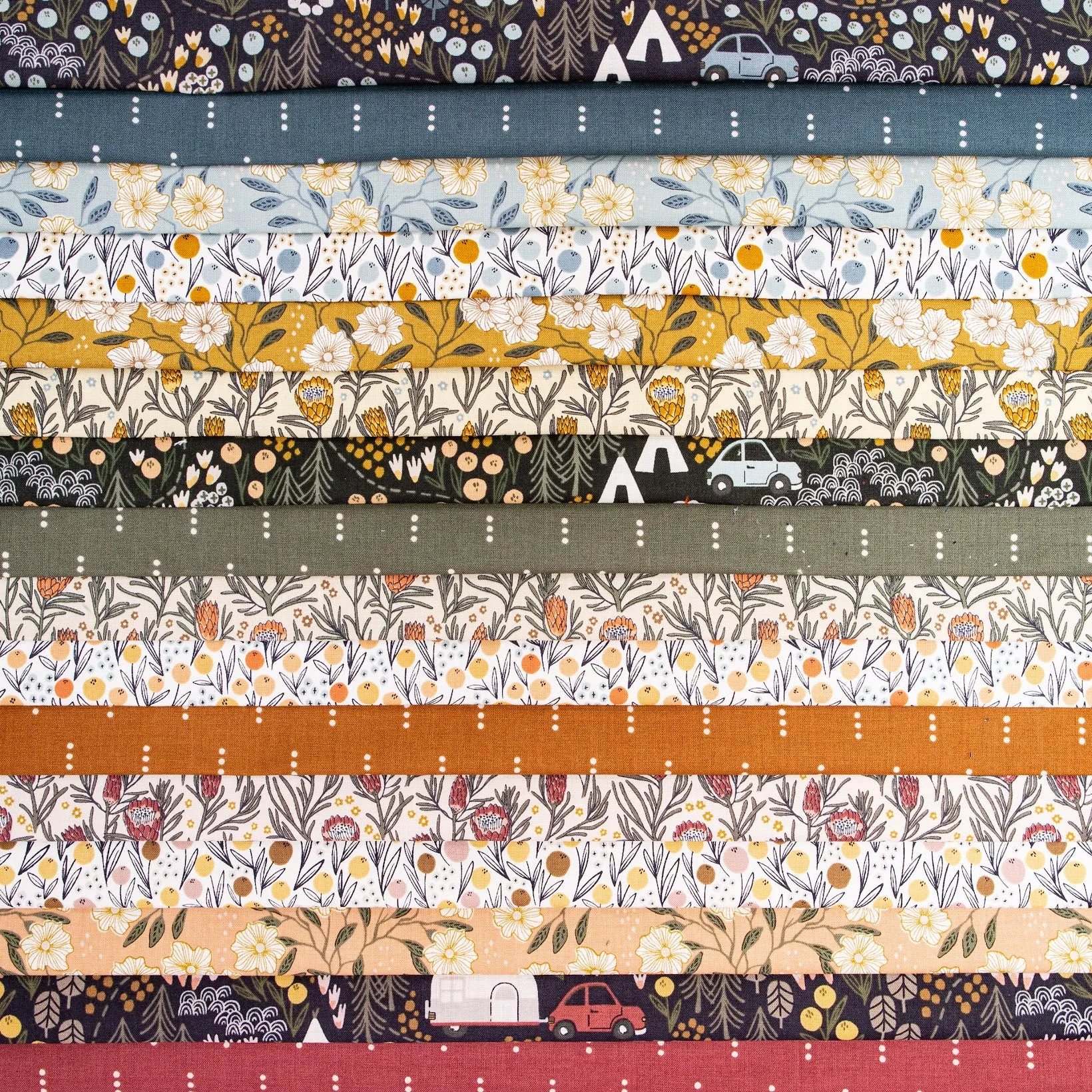 1/2 Yard - Get Out And Explore - Three Dots - Slate Fabric - Quilting Cotton - MT103-SL1