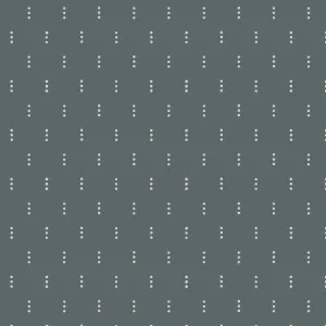 1/2 Yard - Get Out And Explore - Three Dots - Slate Fabric - Quilting Cotton - MT103-SL1