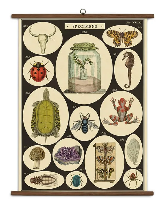 Vintage-Inspired School Charts {multiple styles}
